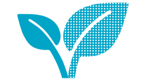 net zero cop 26