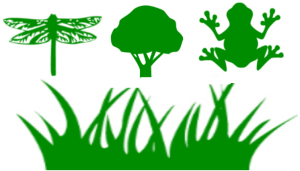 accountants for sustainable farming