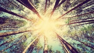 long term business and tax tax planning