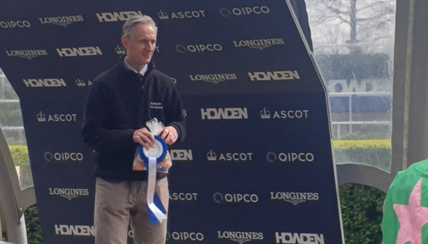 accountant for horseracing