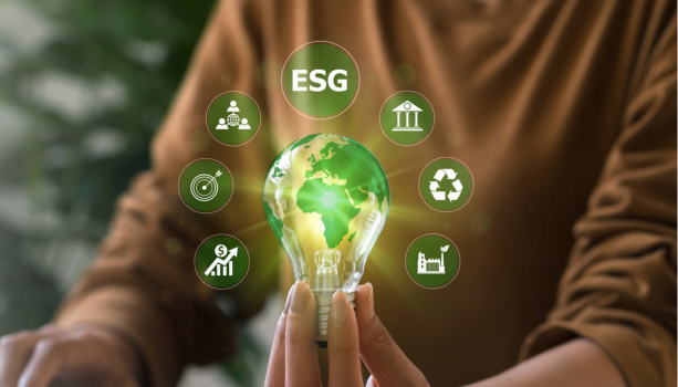 esg auditor and audits