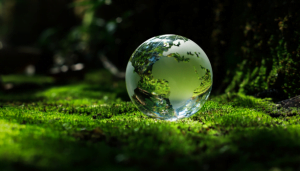 esg reporting specialist advice
