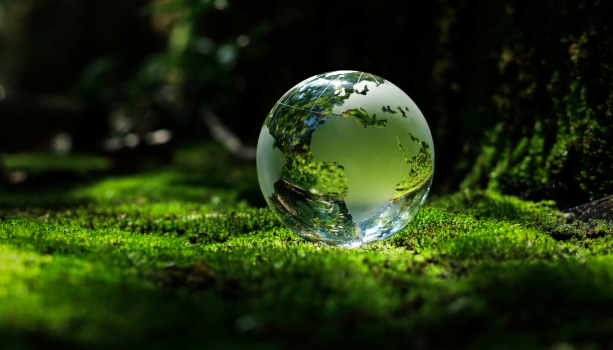 esg reporting specialist advice