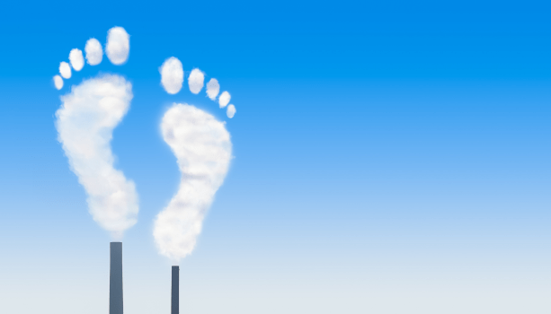 Carbon Footprint Audit