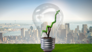 esg auditor for reports and audits