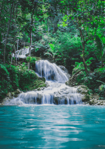 telleroo payment automation