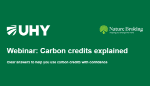 carbon credits explained